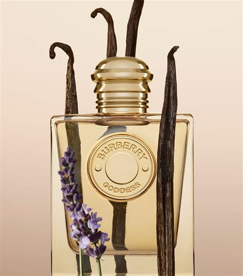 burberry - goddess|where to buy Burberry goddess.